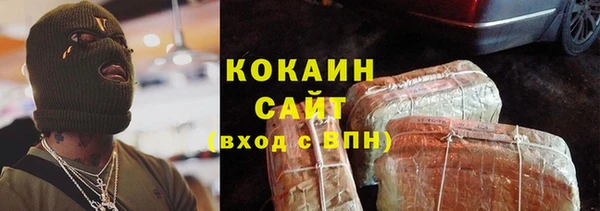 амф Верхний Тагил