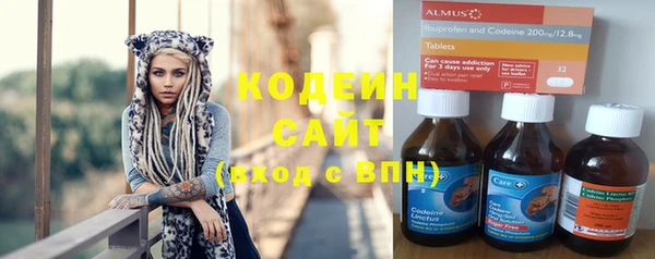 амф Верхний Тагил
