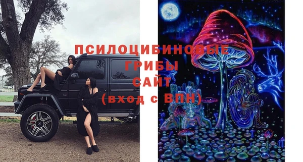 не бодяженный Волоколамск
