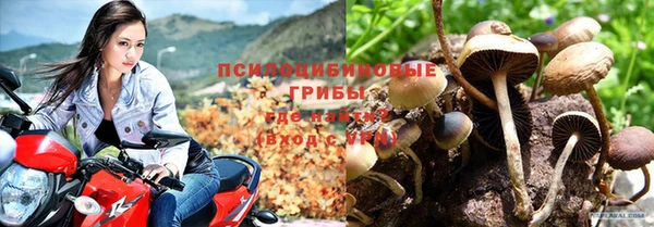 амф Верхний Тагил