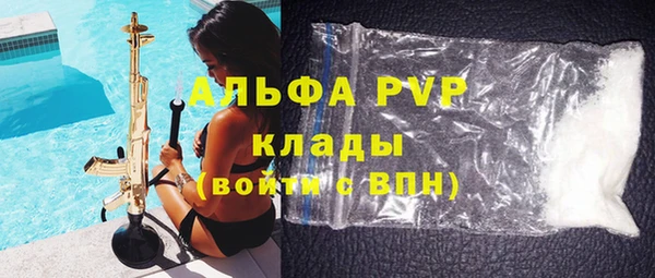 амф Верхний Тагил