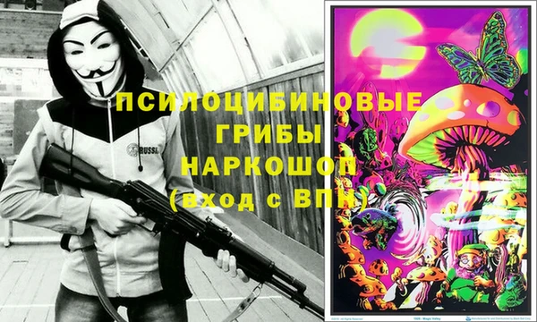 амф Володарск