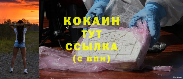 амф Володарск