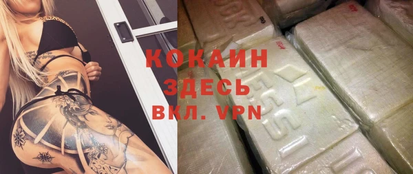 амф Верхний Тагил