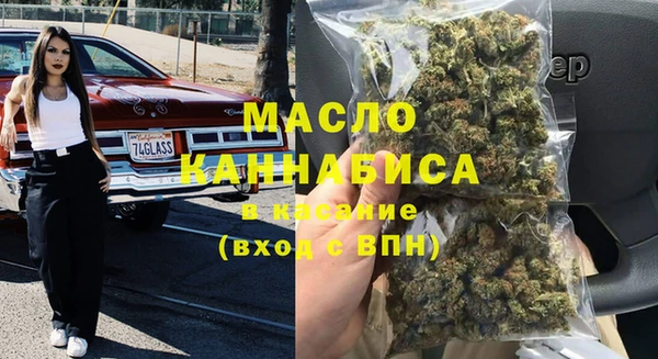 амф Верхний Тагил
