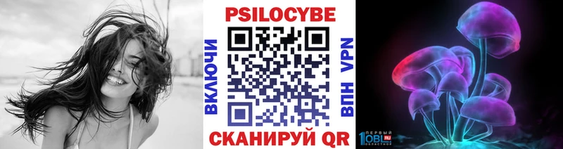 kraken ССЫЛКА Карпинск Псилоцибиновые грибы прущие грибы